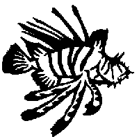 stickers autocollants poissons de mer poisson lion